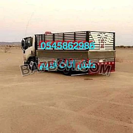 دينا نقل عفش داخل وخارج الرياض 0545862986 حي البديعة العليا الروابي