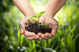 دورات مجال الإدارة البيئية والزراعة 