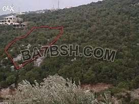 أرض للبيع في شبطين – ضهر الهوة ١٧٤٥ متر مربع الوصف: أرض للبيع في منطقة شبطين – ضهر الهوة، بمساحة ١٧٤٥ متر مربع. 