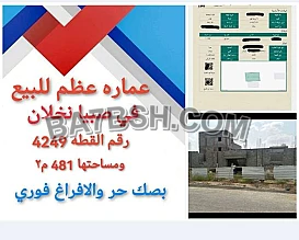 في نخلان صبيا بيت دور واحد للبيع عظم