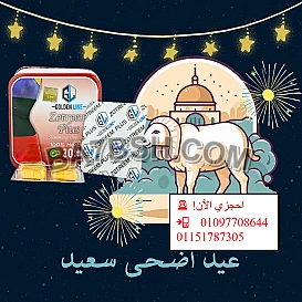 خليكِ مستعدة بإطلالة مثالية مع زوتريم! 🎉💃