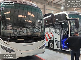 Professional Airport Pickup: Limo Bus 50 Egypt.