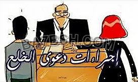 محامى قضايا الخلع فى مصر 