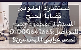 محامى قضايا الجنح فى مصر