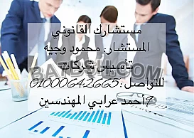 محامى تاسيس الشركات فى مصر