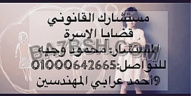 محامى تاسيس الشركات فى مصر