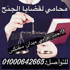 محامى قضايا الجنح فى مصر