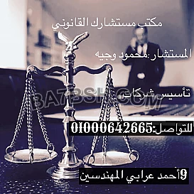 محامى تاسيس الشركات فى مصر