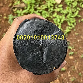 شركة فحم نباتي في نيجيريا
