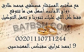 محامى زواج الاجانب فى مصر 