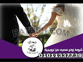 محامي زواج اجانب في مصر 