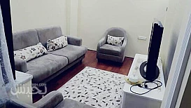 شقة ٢ وصاله مفروشه