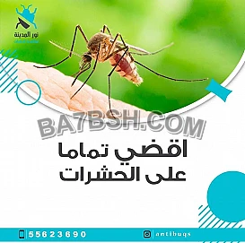 مكافحة حشرات العاصمة 60083891 