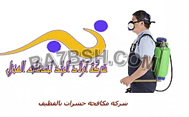 شركة مكافحة حشرات بالقطيف 0559164017 مكافحة الصراصير الفئران بق الفراش 