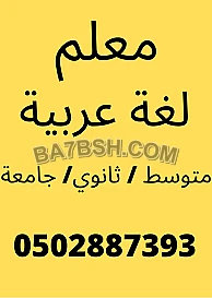 معلم لغة عربية ( متوسط - ثانوي - جامعة ) تدريس النحو والأدب 