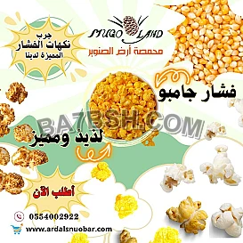 عالم النكهات المذهلة