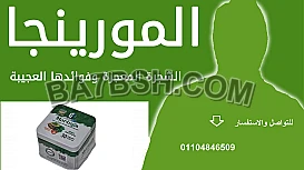 حبوب للتخسيس مورينجا من جولدن لاين