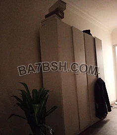 دينا نقل عفش بالرياض فقط 