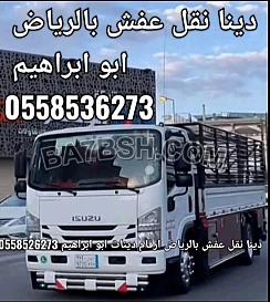 دينا رمي اغراض مهمله بالرياض 0َ558536273 